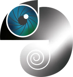 Logo BRAM Security