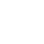 Logo BOLLE