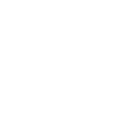 Logo NEST ARCHITECTS