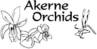 Logo ORCHIDEE