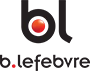 Logo BERNARD LEFEBVRE SA