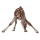 Logo AFRICA EMOTIONS