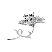 Logo ELIDE