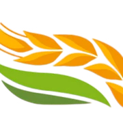 Logo IMEX TRADE