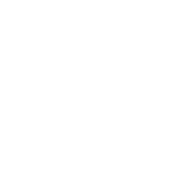 Logo WG Consulting