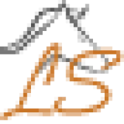 Logo Light&Supple Horses
