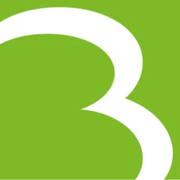 Logo BRICON