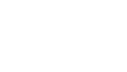 Logo STIJN NAEYAERT