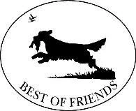 Logo Best of Friends