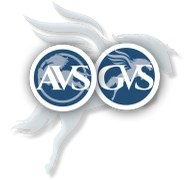Logo AVS CONCOURSBOXEN
