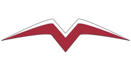 Logo FLOW XP