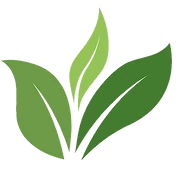 Logo WOLLE