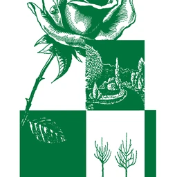 Logo CALLE PLANT
