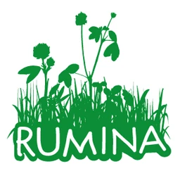 Logo RUMINA