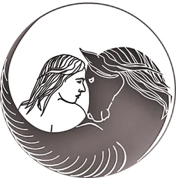 Logo Reflections