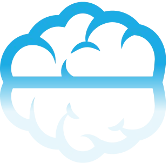 Logo ERICA FLOWERS