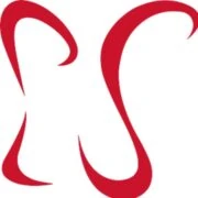Logo Pour la Solidarité
