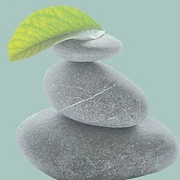 Logo POSITIVE INSIGHT