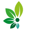 Logo DELLFLORA