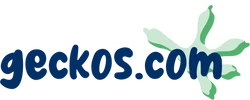 Logo Gecko's Architecture