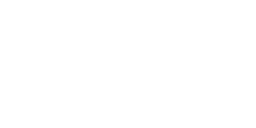 Logo VAN SERVICE
