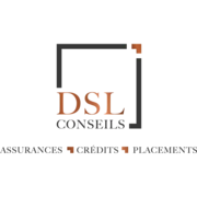 Logo DSL CONSEILS
