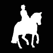 Logo VAN OLST HORSES