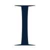 Logo ICON INTERNATIONAL