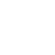 Logo LIVING LACE