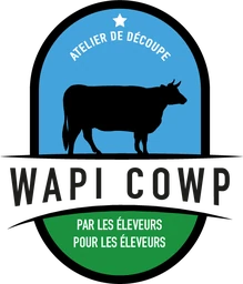 Logo Wapicowp
