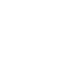 Logo Ledgerlink Labs