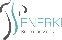 Logo Enerki