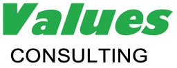 Logo VALUES CONSULTING