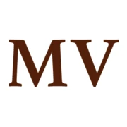 Logo MV-STORE