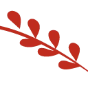 Logo Dincassur
