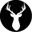 Logo VANESINVEST