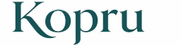 Logo Köprü