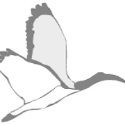 Logo PRINOS