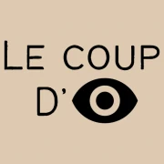 Logo La Roche Optic