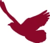 Logo RILL
