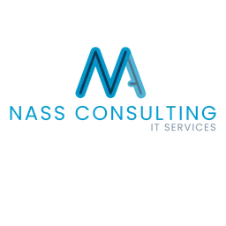 Logo NASS CONSULTING