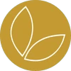 Logo Alfons Smet Residenties