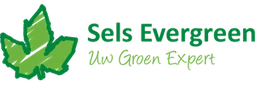 Logo SELS - EVERGREEN