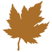 Logo MARFIL