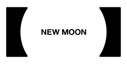Logo NEW MOON