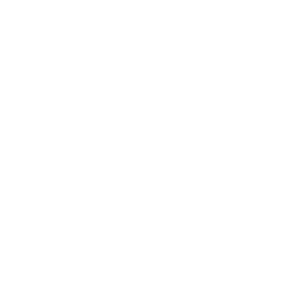 Logo ACTIVE SECURITY