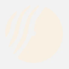 Logo Groovy Collective