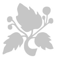 Logo VAN HOUCKE