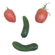 Logo SOFARIN