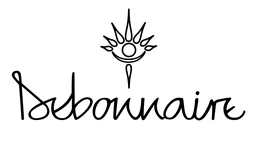 Logo DEBONNAIRE
